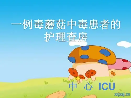 护理查房