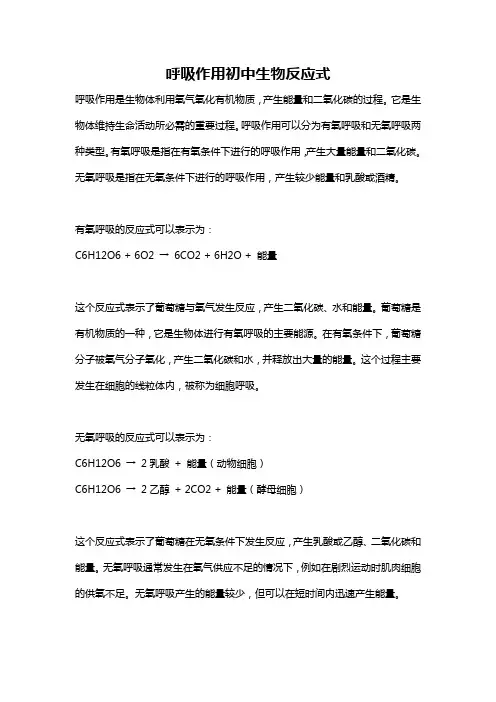 呼吸作用初中生物反应式