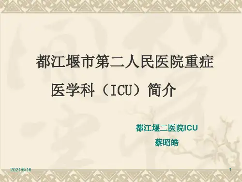 ICU简介