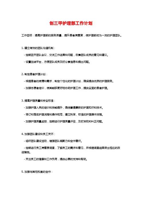 创三甲护理部工作计划