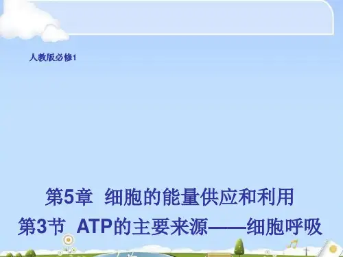 人教版高中生物必修1第5章第3节  ATP的主要来源—细胞呼吸 课件 (共48张PPT)