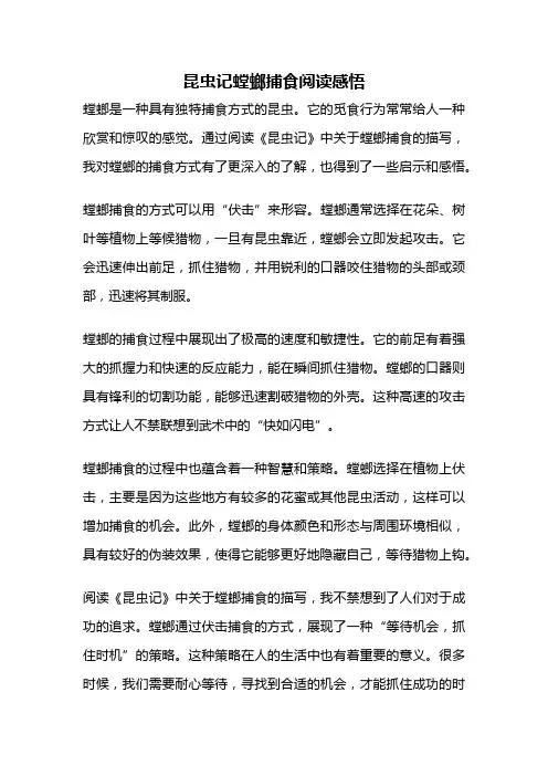 昆虫记螳螂捕食阅读感悟