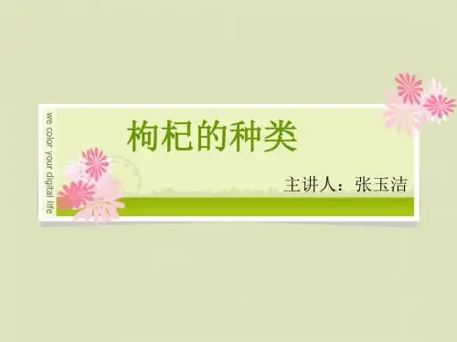 枸杞种类及品种介绍1汇编