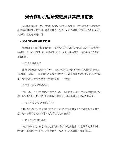 光合作用机理研究进展及其应用前景