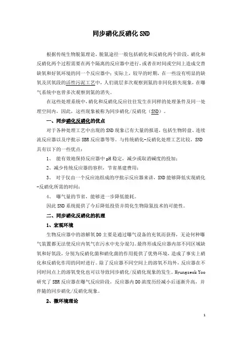 同步硝化反硝化SND
