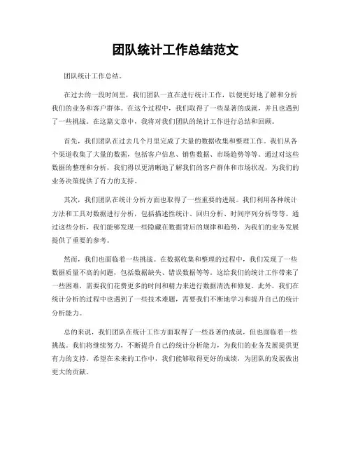 团队统计工作总结范文