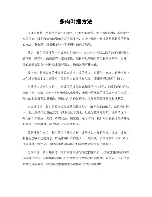 多肉叶插方法