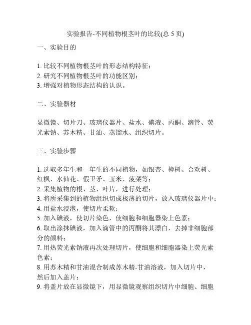实验报告-不同植物根茎叶的比较(总5页)