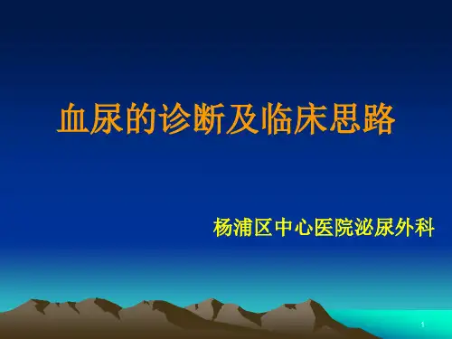血尿的诊断临床思路PPT课件