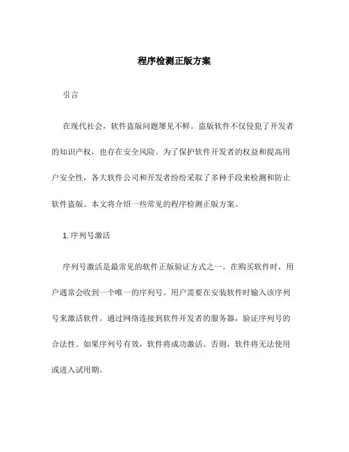 程序检测正版方案