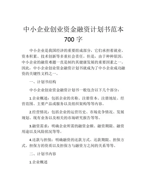 中小企业创业资金融资计划书范本700字