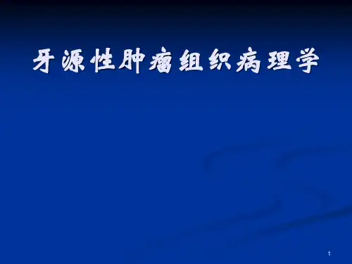 牙源性肿瘤组织病理学