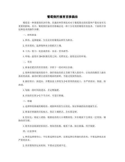 葡萄倒扦插育苗移栽法