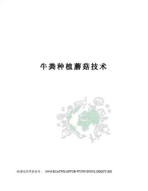牛粪种植蘑菇技术