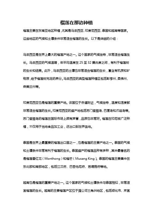 榴莲在那边种植