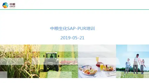 SAP培训-pur采购