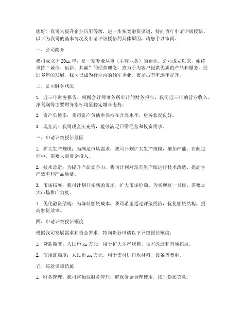 企业评级授信申请书