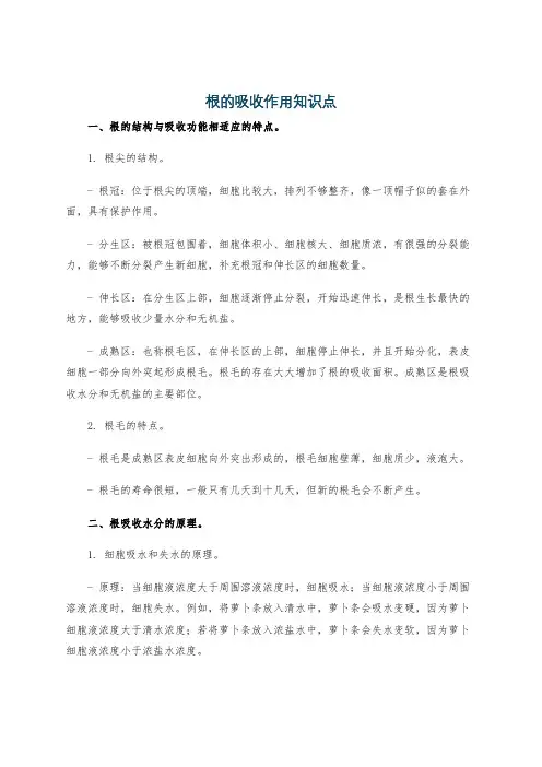 根的吸收作用知识点