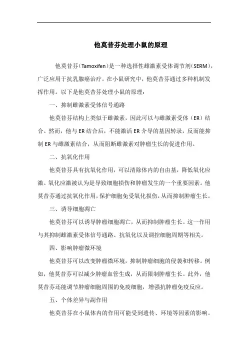 他莫昔芬处理小鼠的原理
