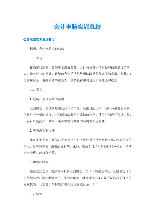 会计电脑实训总结