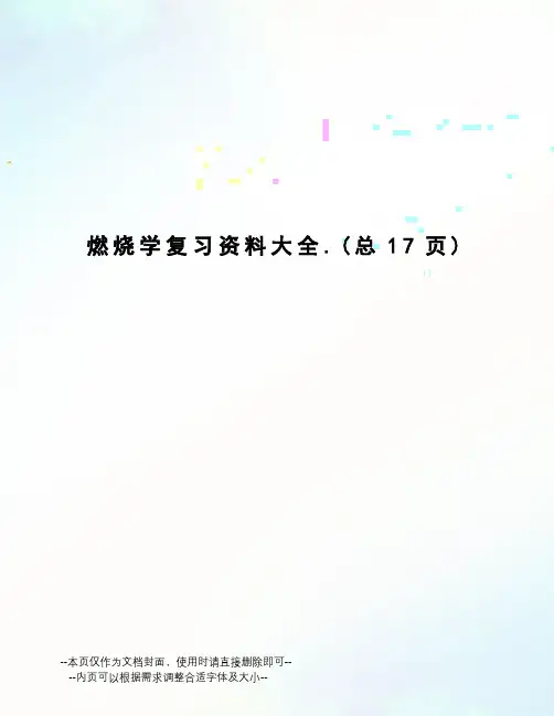燃烧学复习资料大全