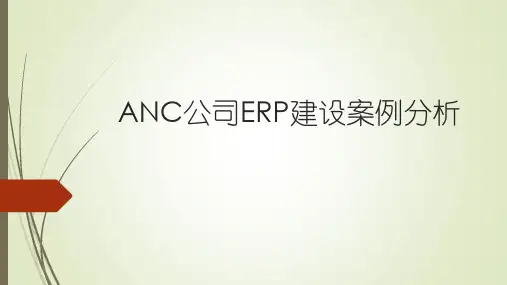 ANC公司ERP建设案例分析