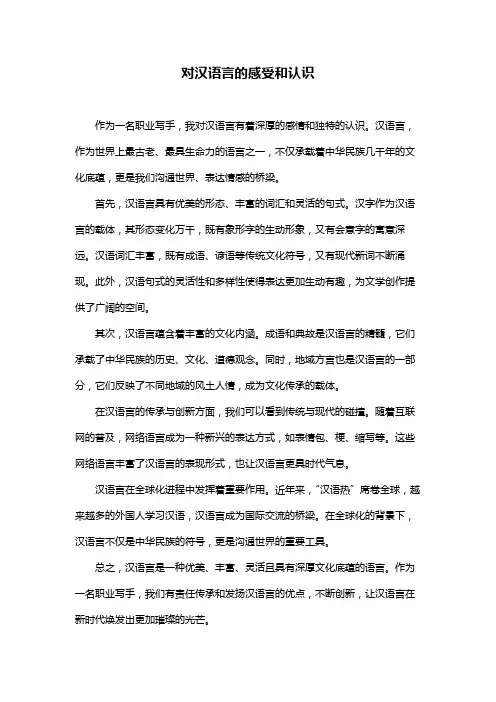 对汉语言的感受和认识
