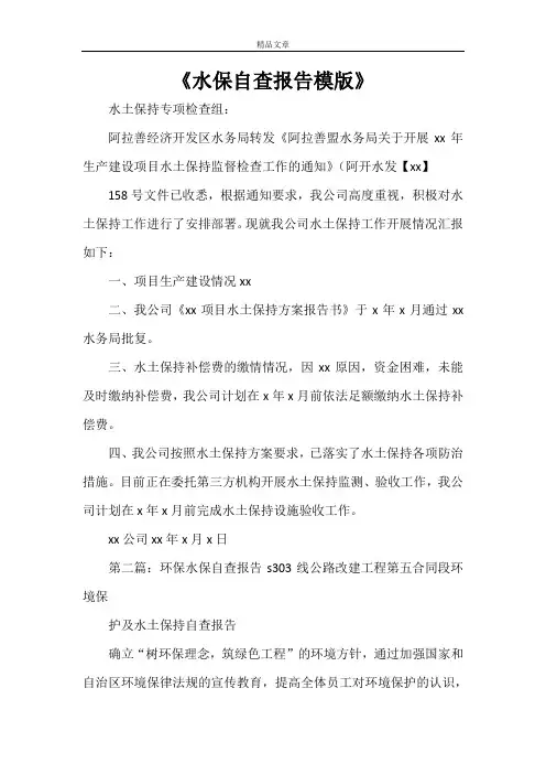 《水保自查报告模版》