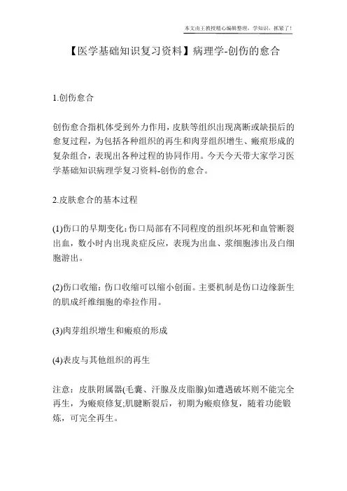 【医学基础知识复习资料】病理学-创伤的愈合