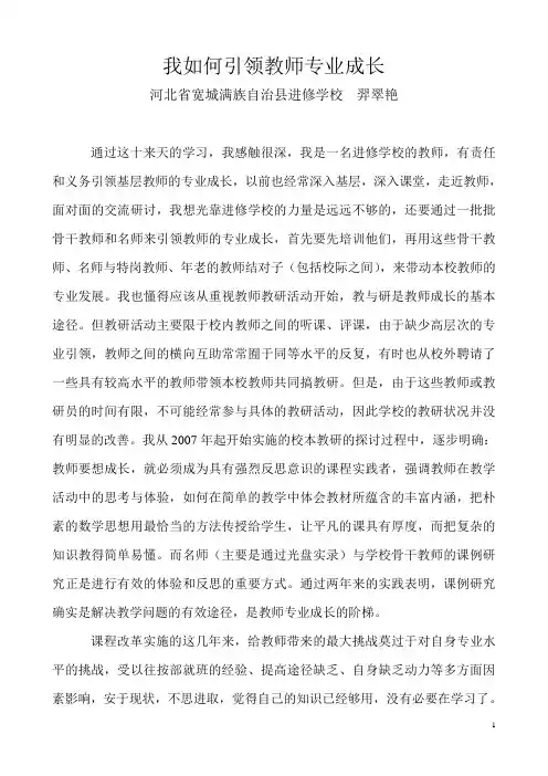 学习体会我如何引领教师专业成长