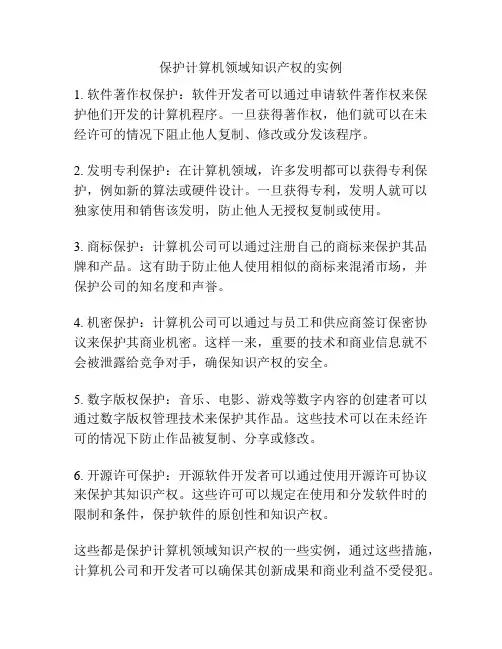 保护计算机领域知识产权的实例