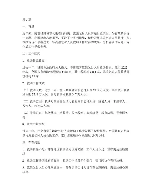 流浪救助年度报告总结(3篇)