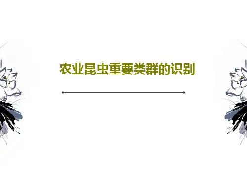 农业昆虫重要类群的识别共84页文档