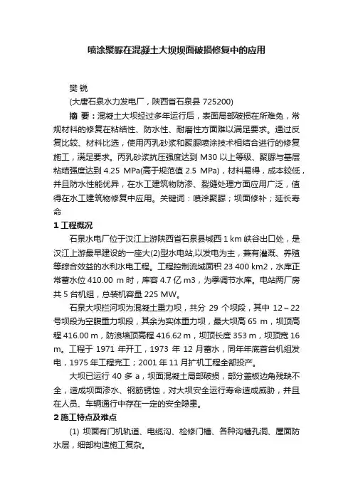 喷涂聚脲在混凝土大坝坝面破损修复中的应用