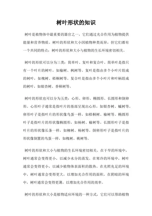 树叶形状的知识