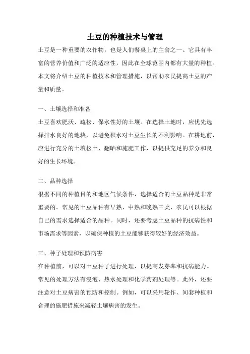 土豆的种植技术与管理