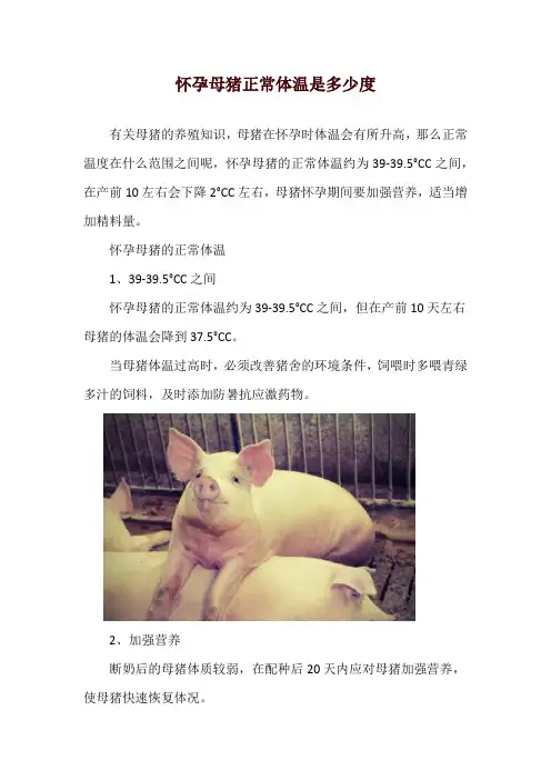 怀孕母猪正常体温是多少度