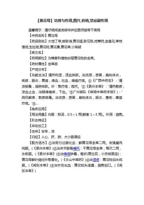 【黄花母】功效与作用,图片,价格,禁忌副作用