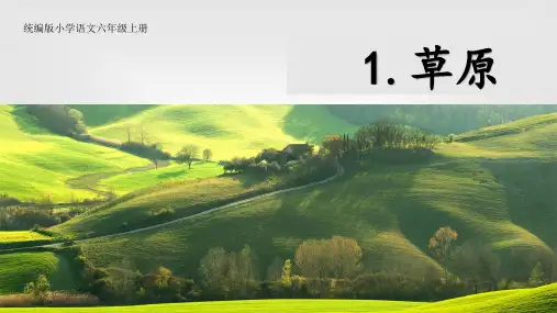 草原课件(共32张PPT)