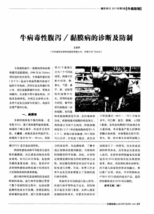 牛病毒性腹泻／黏膜病的诊断及防制