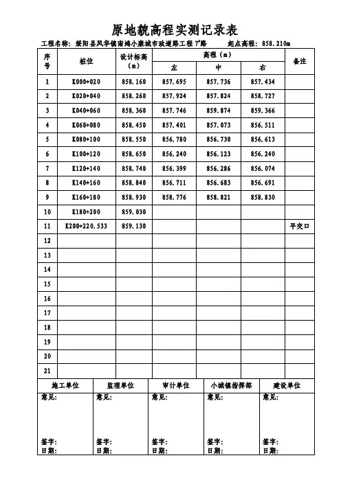 【最新精选】原地貌高程实测记录表
