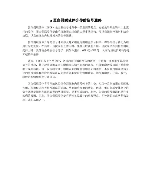 g蛋白偶联受体介导的信号通路