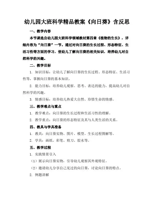幼儿园大班科学精品教案《向日葵》含反思
