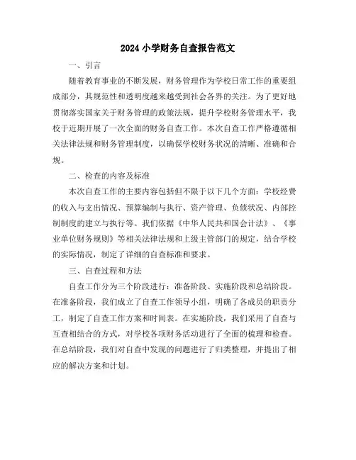 2024小学财务自查报告范文