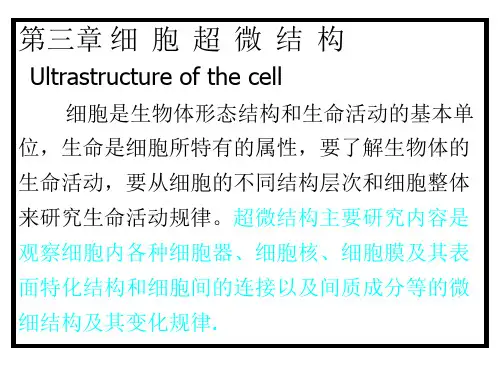 课件系列——细胞超微结构