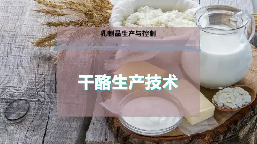 干酪生产技术