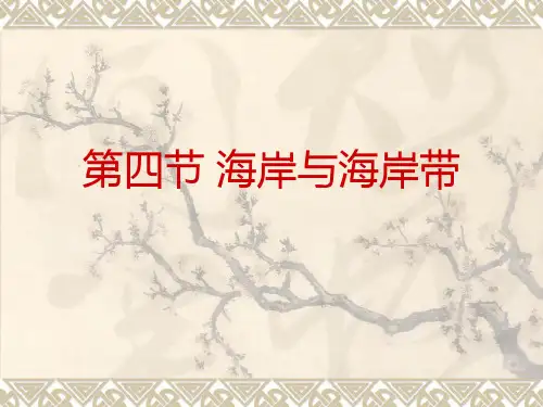 第四节 海岸与海岸带