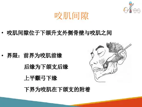咬肌间隙感染的病因临床表现及治疗(口腔颌面外科课件)