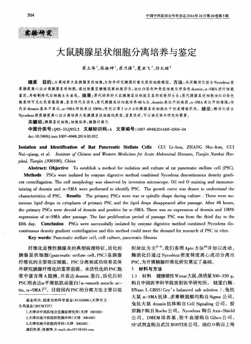 大鼠胰腺星状细胞分离培养与鉴定