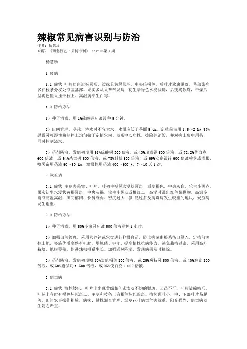 辣椒常见病害识别与防治